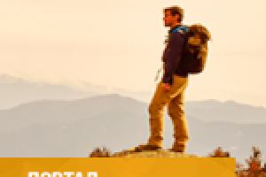 Турфимр нет