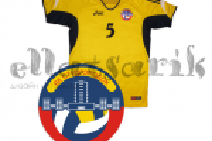 Эмблема для волейбольной команды.