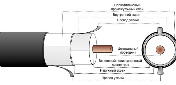 img3149660.png