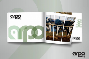 Работа 3226006