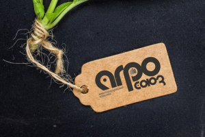 Работа 3226982