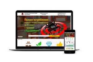 Дезинсекция