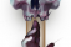 Череп и рука