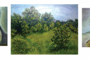 рисунки. акварель