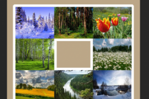 обложка журнала 4