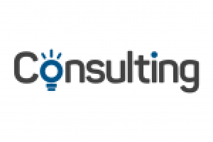 Consulting