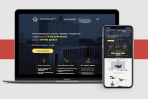 Лендинг пейдж для франшизы тендеров