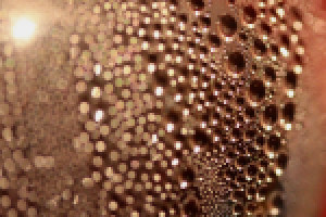 Работа 2514907