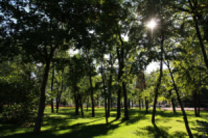 Работа 2510820