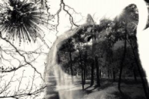 Двойная Экспозиция