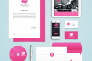 Анатель, презентация логотипа