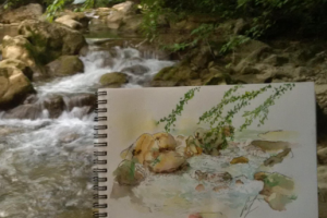 Акварельный скетчинг