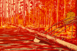 Иллюстрация для sthoops.com #5