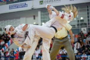 Соревнования по каратэ киокуснинкай