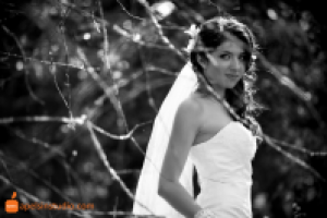 Фотограф на свадьбу в москве