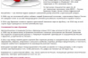 Бразилия - страна будущего