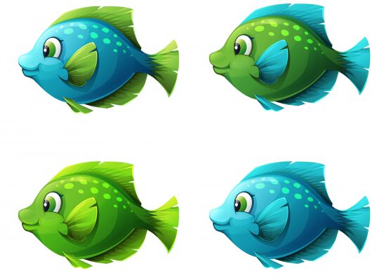 img3178369.png