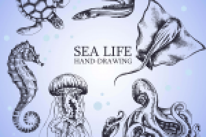 Морская жизнь