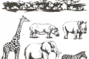 Скетчи африканских животных