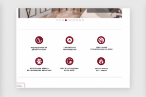 Пиктограммы в фирменном стиле