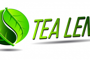 Работа 3133108