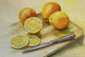 Работа 3081126