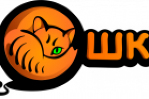 Логотип для интернет-магазина