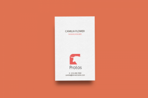 Логотип для дизайнера