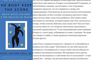 "Тело ведёт счёт" Бесселя ван дер Колька