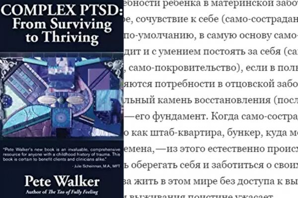 img3529282.png