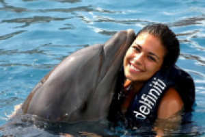 Где в Египте поплавать с дельфинами