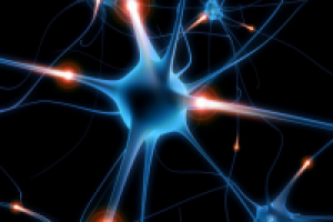 Что такое нейропластичность