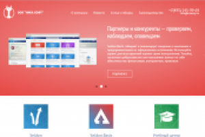 Контент для ООО "НикаСофт" (тендерный рынок)