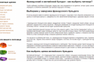 Французский и английский бульдог - как выбрать питомца