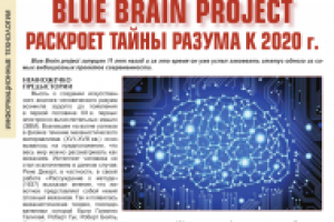Статья для журнала "Наука и техника" о Blue Brain Project
