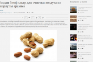 Создан биофильтр для очистки воздуха из скорлупы арахиса