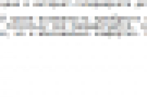 Описания товаров для интернет-магазина игрушек SunnyToy