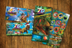 Флаер и билеты. Кинотеатр