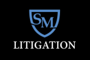 Работа 3116232