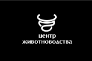 Работа 3116191