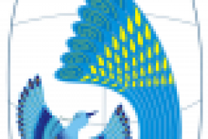 Птица удачи