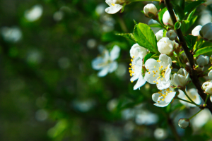 Работа 3535424