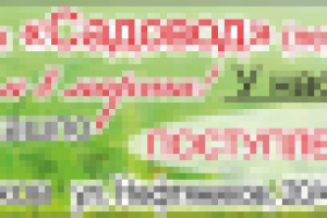 рекламный макет в газету