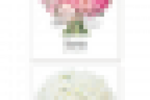 flower-lounge-mobile