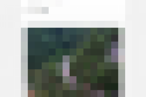 sedona_adaptive-photo-mobile