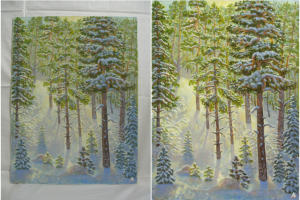 Исправление дефектов съёмки