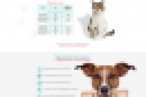 ZooSilver - стрижка собак