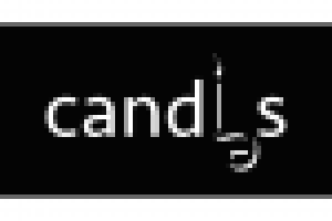 Лого для компании свечей