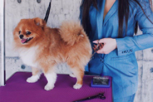 Фото и его описание из моего инстаграма