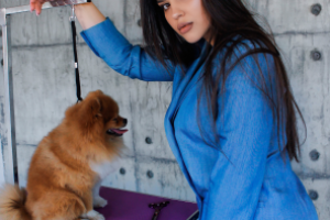 Работа 3394142